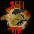 SkibidiFighters