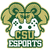 Colorado State University