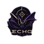 Echo Team